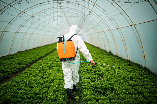 Best Best Pest Control Companies  in Long Branch, NJ