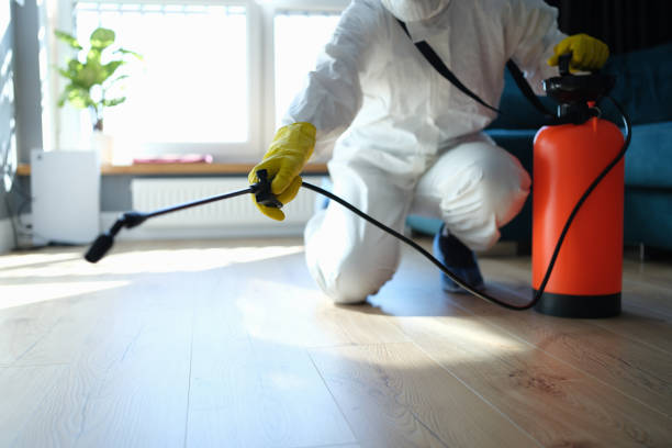 Best Flea Control Services  in Long Branch, NJ