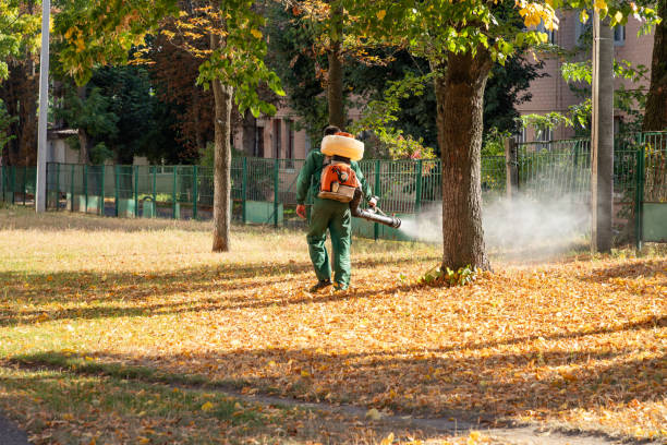 Best Bed Bug Extermination  in Long Branch, NJ