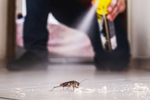 Best Mosquito Control Services  in Long Branch, NJ