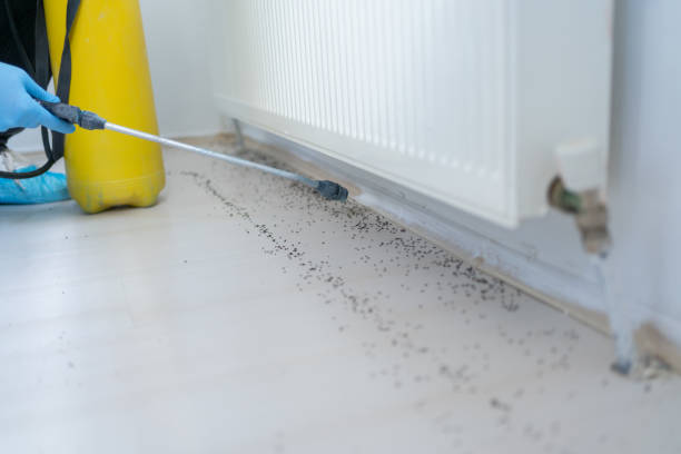 Best Affordable Pest Control Services  in Long Branch, NJ